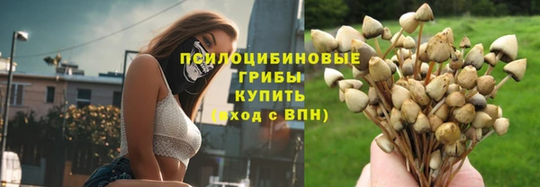 гашик Бородино