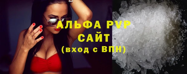 гашик Бородино