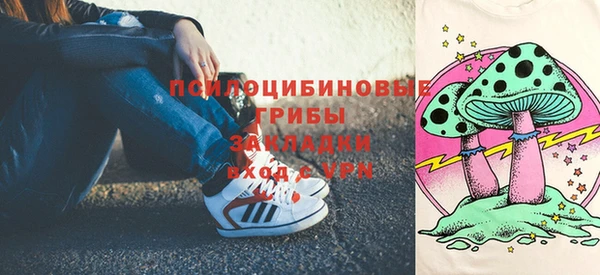 a pvp Богородицк