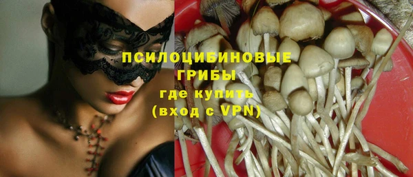 эйфоретик Богородск