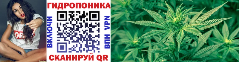 OMG   Севастополь  Бошки Шишки Ganja  где найти наркотики 